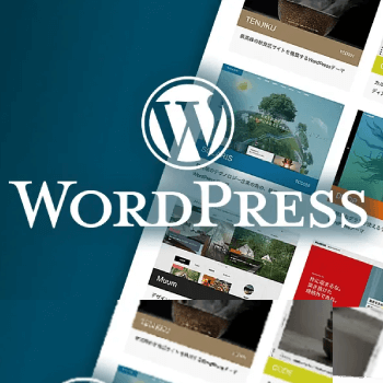 Wordpress development